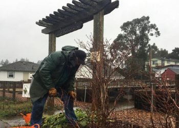 Community Garden Application Are Now Available in Coquille