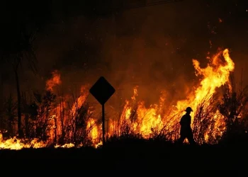 U.S. Plans for a Big Increase for Forest Management to Handle Wild Fire