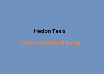Hedon Taxis
