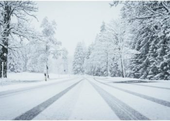 Top 4 Vehicles that Perform Great in the Snow