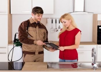 Hiring Pest Control Services Online? Here’s What You Need To Know