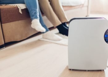 Do Air Purifiers Influence the Humidity Levels in an Indoor Home Environment?