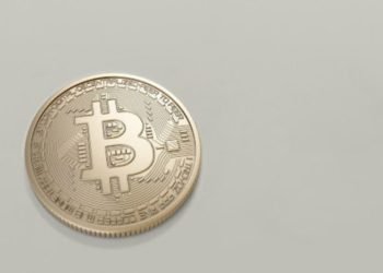 What Are the Top Bitcoin Wallets that You Should Use for Storing Cryptocurrency?