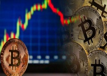 Concise Overview to the Bitcoin Trader