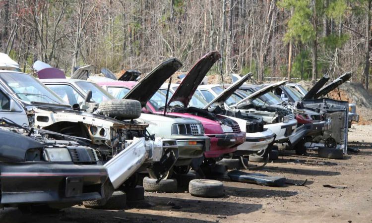 Everything You Want To Know About Auto Salvage Yards 7341