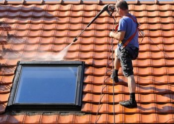 How Often Should You Have Your Roof Cleaned?