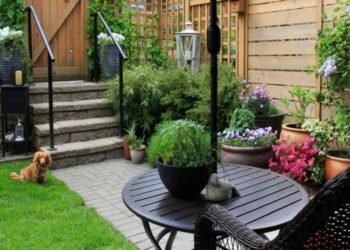 Incredible ideas for designing your home lawn on a budget 