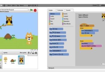 SCRATCH: The Components and Types