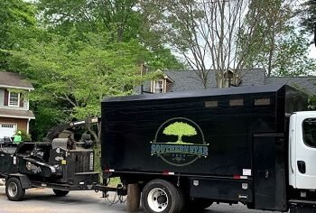 5 Tips about Tree Removal Services You Can’t Afford to Miss