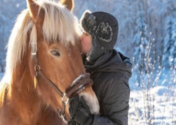 5 Things You Need to Do for Your Horses During the Winter Season