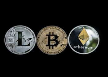 Dogecoin vs Shiba Inu: What Are the Differences?