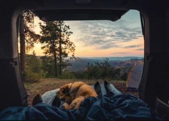 5 Things To Know Before Renting An RV