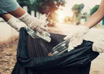 5 Ways That Cities Can Reduce Litter in the Community