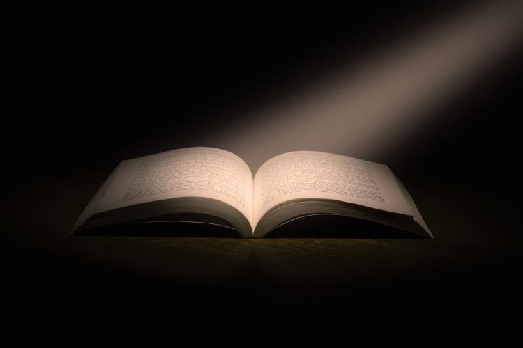6 Self Help Books That Will Transform Your Life