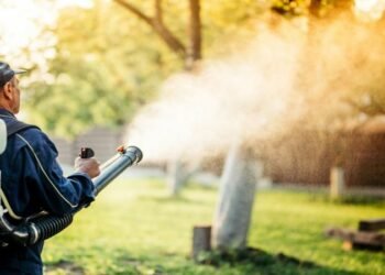 What Do Professionals Use to Spray for Mosquitoes?