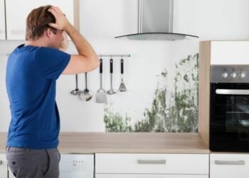 Why Mold Grows And How to Prevent It At Home