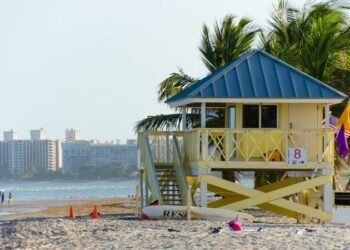 Moving to Florida? 5 Reasons Why You Should Choose Miami