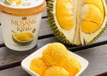 The Delicious and Unique Flavor of Durian Ice cream
