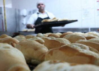 Bakery Food Service Distributors: Why Use Them for Your Restaurant Business