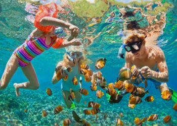 Discover the Wonders of the Underwater World with a Snorkeling Tour