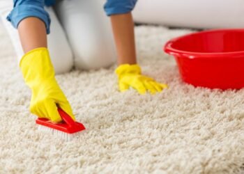 How To Get The House-Shut-Up-For-The-Winter Smell Out Of Your Carpet