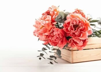 Boost Your Mood With Fresh Flower Bouquets