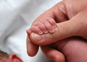 Importance of Entrepreneurship Training in Business Development