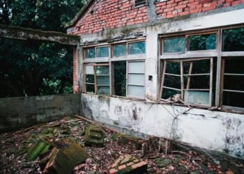 The Essential Nutrients You Need to Know for Horse Feeding