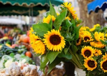 The Growing Demand for Sunflower Bouquets in Malaysia