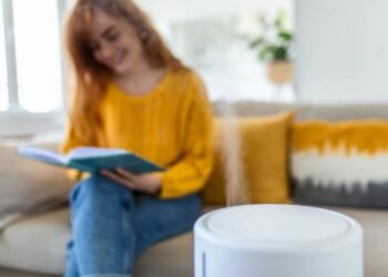 The Role of Air Purifiers in Combating Pollution in Malaysia