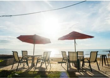 The Best Restaurants in Town Will Elevate Your Taste Buds