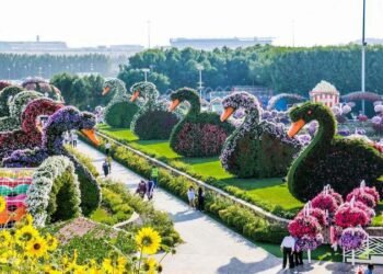 Dubai Miracle Garden Tickets and Miracle and Butterfly Garden Tickets: A Comprehensive Guide