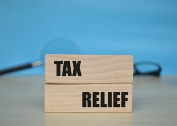 Understanding the Different Types of Tax Relief Services 