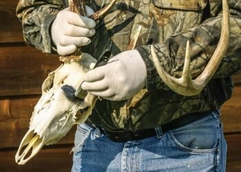 Choosing a Taxidermist