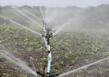 A Guide to the Best Irrigation Systems of 2023