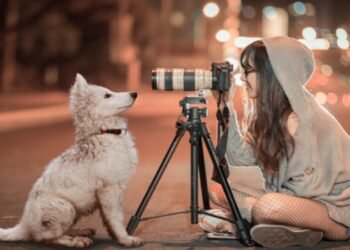 How to Choose the Best Pet Camera for Your Needs