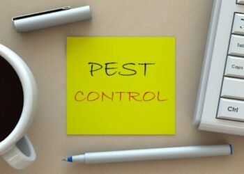 5 Common Habits That Lead to Pest Infestation