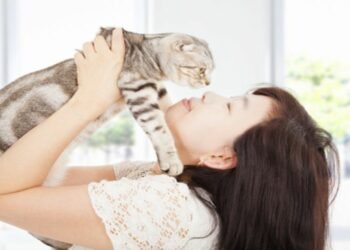 9 Tips for Owning a Healthy Cat