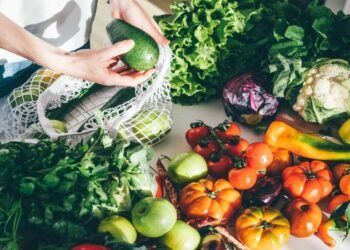 Fueling Your Body with Plant-Based Protein: Enhancing Performance and Recovery