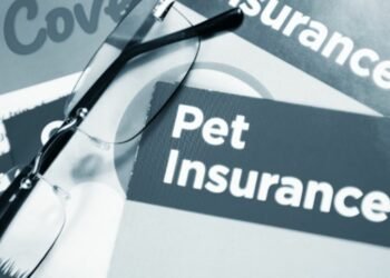 How to Choose Pet Insurance: Everything You Need to Know
