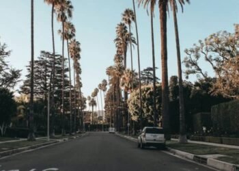 The 3 Best Neighborhoods in Los Angeles for Families