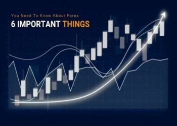 6 Important Things You Need To Know About Forex Trading