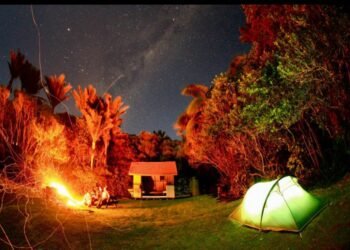 Mindful Adventures: 7 Simple Steps to Responsible Camping and Conservation