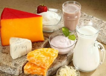 Nutritional benefits and culinary wonders: Harnessing the power of dairy in cooking
