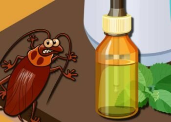 What Smells Repel Cockroaches?