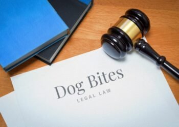 When Man’s Best Friend Bites: A Look At Insurance Policies Covering Dog Bites