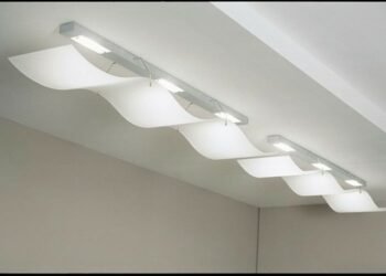 Mold and Moisture Problems in the Office: Dangers and Management Tips