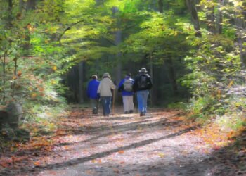 9 THINGS TO DO ON YOUR TRIP TO PIGEON FORGE