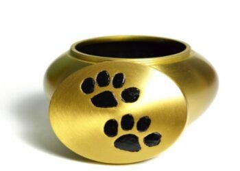 A Pet Owner’s Guide to Pet Cremation Costs in 2023