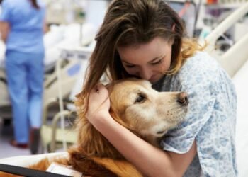 Dog Physical Therapy Near Me: What You Need to Know
